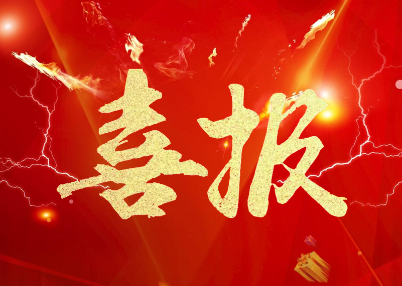 喜報 | 銳拓顯示榮膺LED顯示屏行業2019年知名品牌